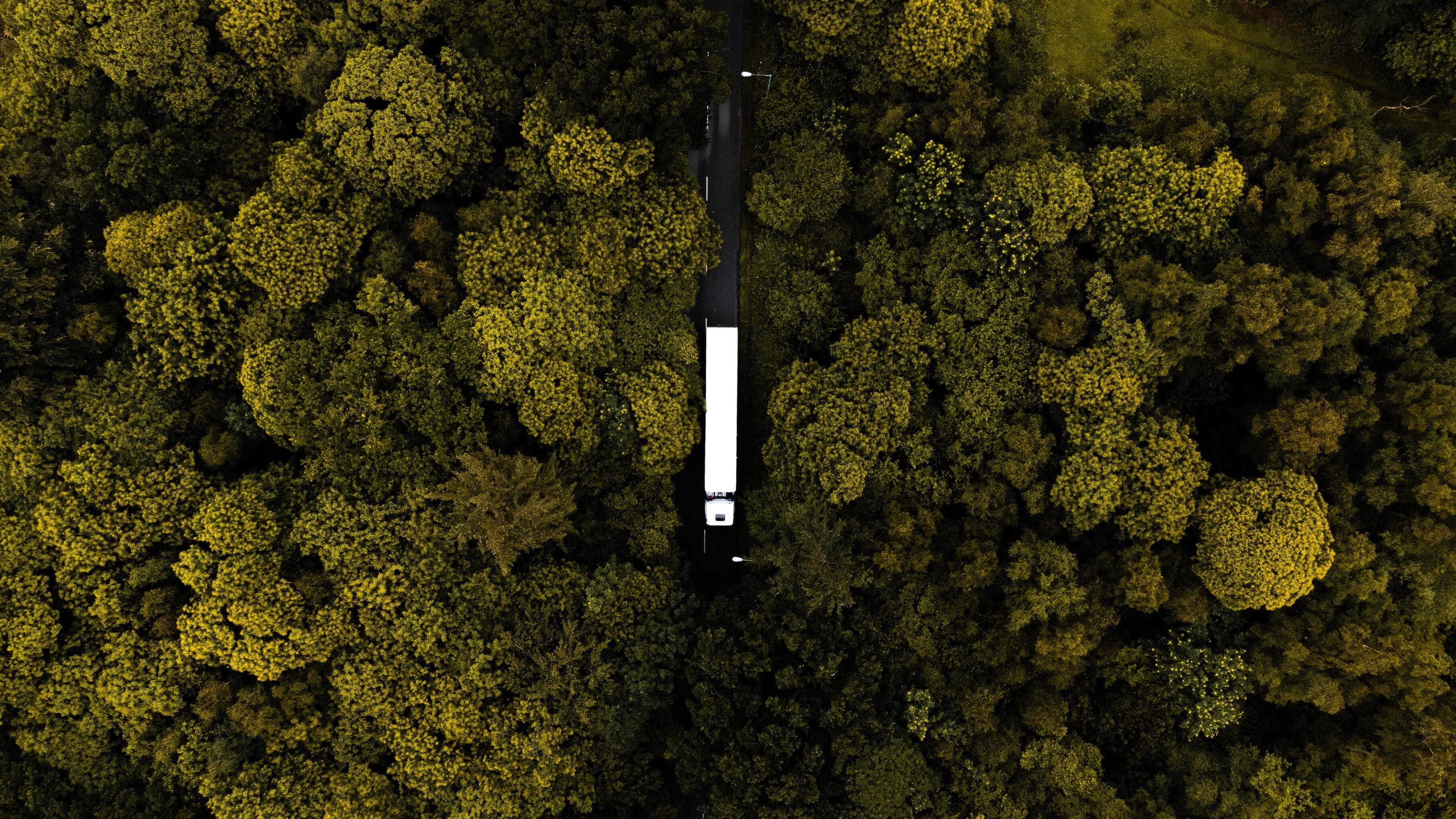 Truck on a road between a forest